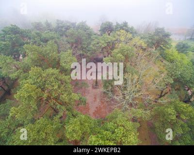 Kriegsfriedhof am Swiecajty Seeufer, der an deutsche und russische Soldaten erinnert, die während des Ersten Weltkriegs in Wegorzewo gefallen sind Stockfoto