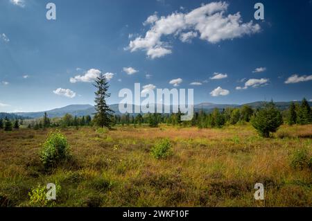 Bergpanorama im Tarnawa Torfmoor. Moormoor-Habitat in den Bergen, Tarnawa Wyzna, Bieszczady, Bieszczady Nationalpark, Äußere Ostkarpaten Stockfoto