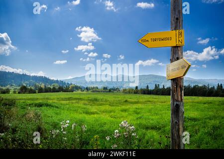 Wegschild Tarnawa Torfmoor. Moormoor-Habitat in den Bergen, Tarnawa Wyzna, Bieszczady, Bieszczady Nationalpark, Äußere Ostkarpaten, Polan Stockfoto