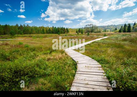 Torfmoor Tarnawa. Promenade durch Moormoor Habitat, Tarnawa Wyzna, Bieszczady, Äußere Ostkarpaten, Polen Stockfoto