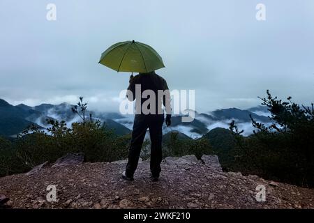 Blick auf Hyakken-gura '3600 Gipfel von Kumano Kodo' nach Regen, Kumano Kodo Nakahechi Pilgerroute, Wakayama, Japan Stockfoto