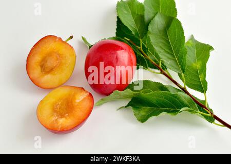 Reife, saftige Kirschpflaumenfrüchte, eine Frucht wird halbiert und eine ganze, liegen auf einem weißen Tisch Stockfoto
