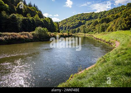 Ein Teil des Flusses Wye, der „der Lieblingsfluss der Nation“ zwischen Monmouth und Tintern, bevor die Phosphatverschmutzung seine Ökosysteme - Südwales - zerstörte Stockfoto