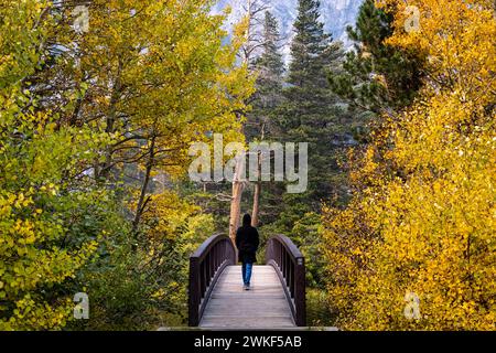 Herbstfarben säumen eine Brücke über die Twin Lakes in Mammoth. Stockfoto