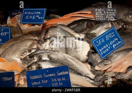 Fresh Fish Stand, Borough Market, Borough, Southwark, London, Vereinigtes Königreich; Jakobsmuscheln; Forelle; Wolfsbarsch; Meeresfisch; Seebrassen Stockfoto