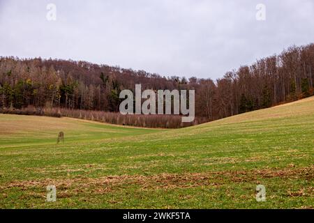 Frühlingswanderung entlang der ILM bei Bad Berka bei herrlichem Sonnenschein - Thüringen - Deutschland Stockfoto