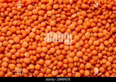 Trockene ganze rote Linsen Nahaufnahme, Hintergrund. Stockfoto