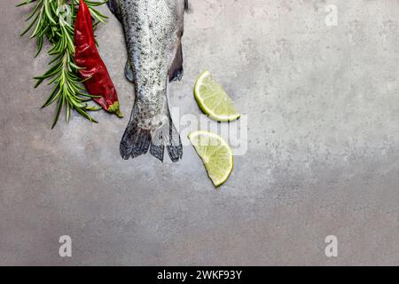 Rohe Forellenfischschwänze mit Rosmarinzweigen, Zitronenscheiben und Pfeffer. Kopierbereich. Rostiger metallischer Hintergrund. Flache Lagen Stockfoto