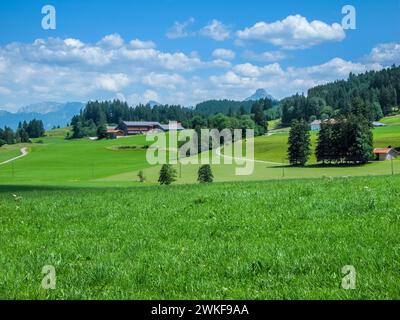 Typischer Landschaftsblick im bayerischen Alpenvorland des Allgäu mit sanften Hügeln und kleinen Waldflächen vor blauem Himmel mit weißen Wolken und Stockfoto