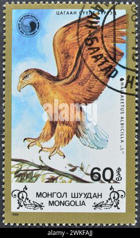 Von der Mongolei gedruckte Briefmarke, die Weißschwanzadler (Haliaeetus albicilla) zeigt, um 1988. Stockfoto