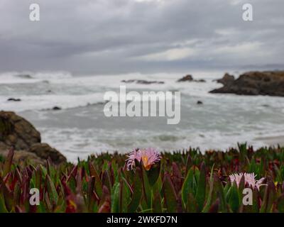 Ein Glasstrand am Meer mit Felsen in Kalifornien Stockfoto