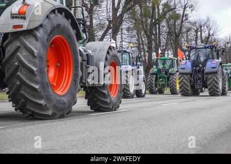 Polen. Februar 2024. Danzig, Polen Februar 2024 Landwirte blockieren Straßen im Stadtzentrum, während Traktoren langsam durch die überfüllten Straßen fahren, und sehen, wie Landwirte Straßen im ganzen Land blockieren, um die EU-Umweltpolitik und den unlauteren Wettbewerb aus nicht-EU-Ländern zu fordern. (Foto: Vadim Pacajev/SIPA USA) Credit: SIPA USA/Alamy Live News Stockfoto