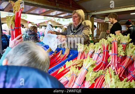 Das Wakefield Rhabarb Festival 2024. Den Rhabarden von der Rhabardenhütte verkaufen Stockfoto