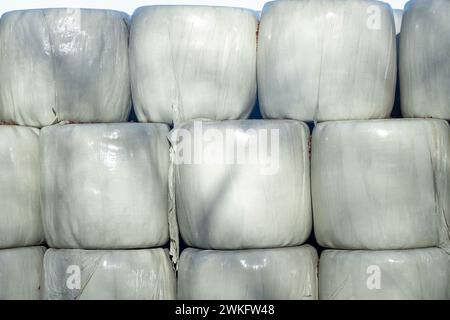 Heuballen in Folie geschrumpft Stockfoto