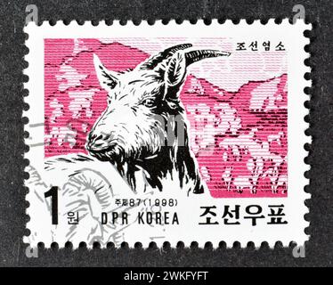 Nordkorea - um 1998 : Briefmarke mit abgebrochener Briefmarke, gedruckt von Nordkorea, die Hausziege (Capra aegagrus hircus) zeigt, um 1998. Stockfoto