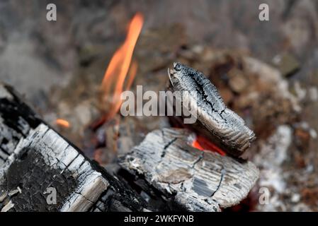 Nahaufnahme von brennenden Holzstämmen in der roten Glut Stockfoto