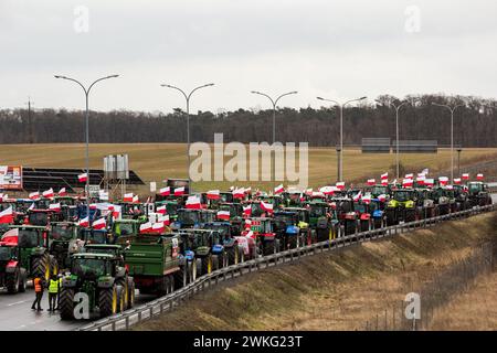 Polnische Landwirte mit ihren Traktoren und Fahrzeugen blockieren die Schnellstraße S3 während der Vorführung. Polnische Landwirte protestieren gegen billiges ukrainisches Getreide, das den Markt überschwemmt, und EU-Vorschriften über den Einsatz von Pestiziden und Düngemitteln. Traktoren mit polnischer Flagge blockierten Autobahnen und wichtige Kreuzungen an fast 200 Standorten in Polen. (Foto: Karol Serewis/SOPA Images/SIPA USA) Credit: SIPA USA/Alamy Live News Stockfoto