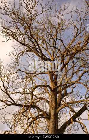 actuell Europäischer Klimawandel Stockfoto