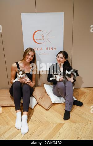 WELPEN-YOGA IN PARIS Stockfoto