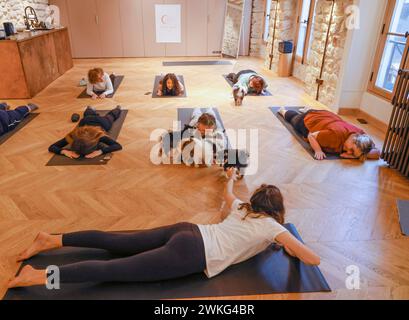 WELPEN-YOGA IN PARIS Stockfoto