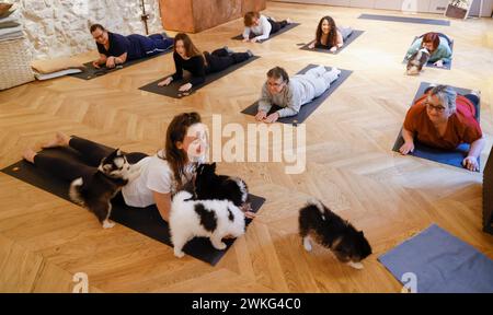 WELPEN-YOGA IN PARIS Stockfoto