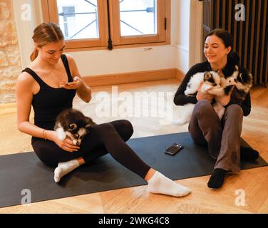 WELPEN-YOGA IN PARIS Stockfoto