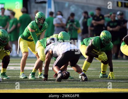 16. September 2023: Oregon Ducks Quarterback Bo Nix #10 bei einem Spiel zwischen den Oregon Ducks und den Hawaii Rainbow Warriors im Autzen Stadium in Eugene, OR - Michael Sullivan/CSM Stockfoto