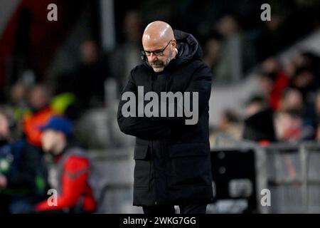 Eindhoven, Niederlande. Februar 2024. Fußball: Champions League, PSV Eindhoven - Borussia Dortmund, K.-o.-Runde, Achtelfinale, erstes Leg, Philips Stadion. Eindhoven-Trainer Peter Bosz während des Spiels. Quelle: Federico Gambarini/dpa/Alamy Live News Stockfoto