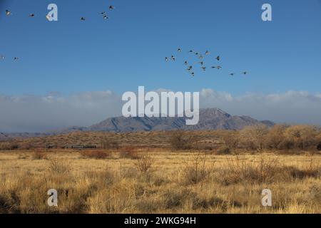 Der entfernte Zug ist ein mechanisches Element, das im Kontrast zu natürlichen Elementen wie Berg, Vögel im Flug und blauer Himmel in der Landschaft von New Mexico steht Stockfoto