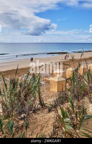 Strand von Porto Santo in der Nebensaison Stockfoto