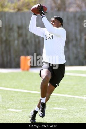 Metairie, USA. Februar 2024. Tight End Kamari Young (Florida A&M) erhält am Montag, den 19. Februar 2024, einen Pass beim HBCU Legacy Bowl NFL Combine im New Orleans Saints Ochsner Sports Performance Center in Metairie, Louisiana. (Foto: Peter G. Forest/SIPA USA) Credit: SIPA USA/Alamy Live News Stockfoto