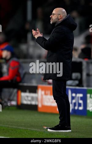 Eindhoven, Niederlande. Februar 2024. Fußball: Champions League, PSV Eindhoven - Borussia Dortmund, K.-o.-Runde, Achtelfinale, erstes Leg, Philips Stadion. Eindhoven-Trainer Peter Bosz applaudiert während des Spiels. Quelle: Federico Gambarini/dpa/Alamy Live News Stockfoto