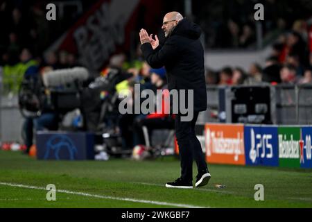Eindhoven, Niederlande. Februar 2024. Fußball: Champions League, PSV Eindhoven - Borussia Dortmund, K.-o.-Runde, Achtelfinale, erstes Leg, Philips Stadion. Eindhoven-Trainer Peter Bosz applaudiert während des Spiels. Quelle: Federico Gambarini/dpa/Alamy Live News Stockfoto