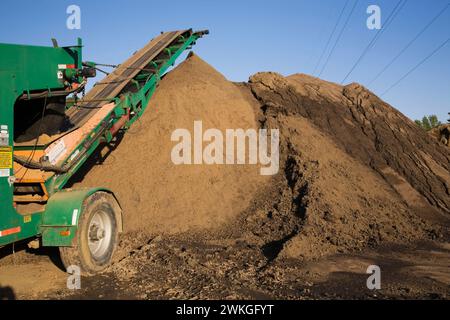 Grüner Stapelförderer und Hügel aus braunem Sand in kommerzieller Sandgrube. Stockfoto