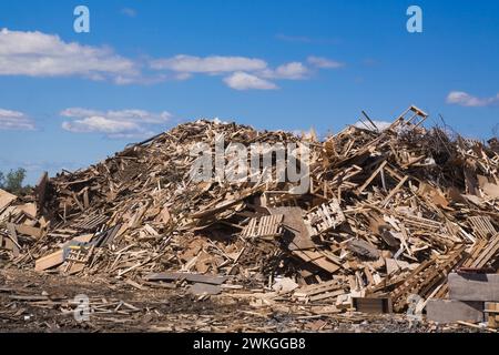 Stapel ausrangierter Holzstücke und Paletten am Standort für Abfallentsorgung Stockfoto