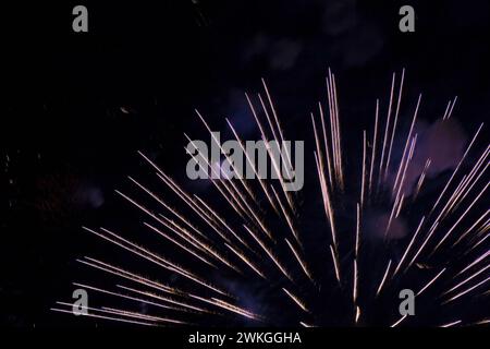 Violettes und weißes Feuerwerk am Nachthimmel. Stockfoto