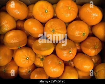 Mandarinen im Lebensmittelgeschäft, Lebensmittelgeschäft, Supermarkt, Deutschland Stockfoto