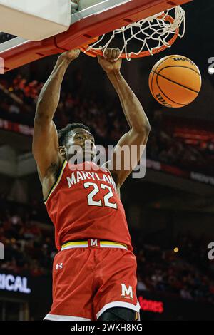 Madison, WI, USA. Februar 2024. Während des NCAA-Basketballspiels zwischen den Maryland Terrapins und den Wisconsin Badgers im Kohl Center in Madison, WI. Darren Lee/CSM/Alamy Live News Stockfoto