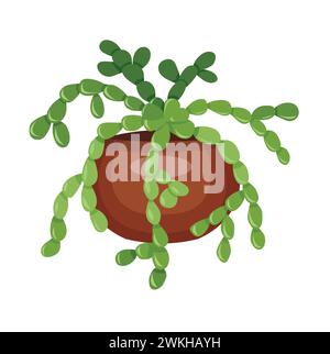 Zygocactus mit braunem Topf. Cartoon. Vektorillustration isoliert auf weißem Hintergrund. Stock Vektor