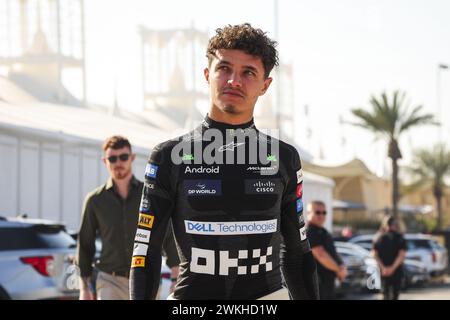 NORRIS Lando (gbr), McLaren F1 Team MCL38, Porträt während der Formel 1 Aramco Vorsaisontests 2024 der FIA Formel 1 Weltmeisterschaft 2024 vom 21. Bis 23. Februar 2024 auf dem Bahrain International Circuit in Sakhir, Bahrain Stockfoto