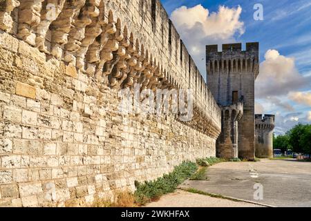 Centro histórico, Muralla Medieval, Avignon, Vaucluse, Provence-Alpes-Côte d’Azur, Frankreich, Europa. Stockfoto