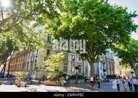 Hotel de Ville, Place de l'Horloge, Avignon, Vaucluse, Provence-Alpes-Côte d'Azur, Frankreich, Europa. Stockfoto