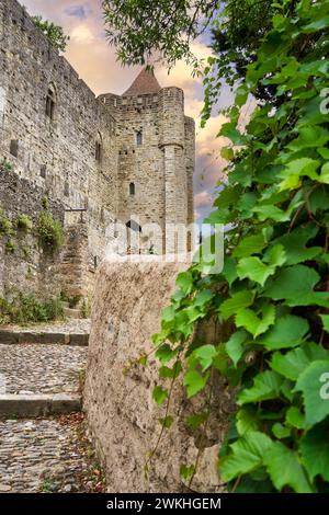 Cité de Carcassonne, Aude, Occitanie, Frankreich, Europa Stockfoto