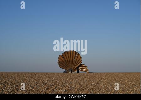 Einsame Muschel am Sandstrand unter klarem blauem Himmel Stockfoto