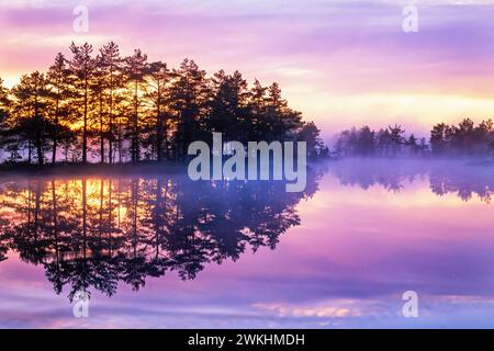 Wunderschöner Sonnenaufgang mit einer Reflexion im Wasser an einem Waldsee Stockfoto