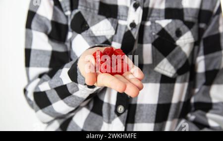 Rote Kauvitamine auf der Handfläche eines Mädchens vor dem Hintergrund eines karierten Hemdes, Nahaufnahme. Das Konzept einer biologisch aktiven Nahrungsgeschmeidigkeit Stockfoto