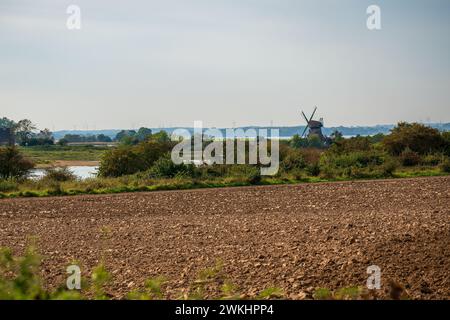 Eine alte Windmühle im Naturpark an der Ostsee. Stockfoto