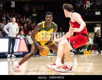 20. Februar 2024 Moraga CA, USA San Francisco Stürmer Ndewedo Newbury (21) spielt während des NCAA Men's Basketball Spiels zwischen San Francisco Dons und den Saint Mary's Gaels. Saint Mary's schlug San Francisco 70-66 im University Credit Union Pavilion Moraga Calif Thurman James/CSM Stockfoto