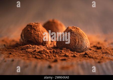 Schokoladentrüffel mit Kakaopulver auf dem Holztisch. Stockfoto