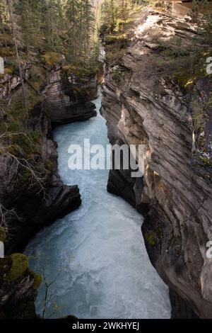 Athabasca Gorge ist ein kurzer Canyon direkt unter den Athabasca Falls im Jasper National Park in Alberta in den kanadischen Rocky Mountains. Stockfoto